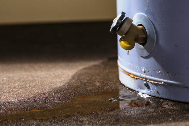 Best Water damage restoration near me  in Northlake, SC