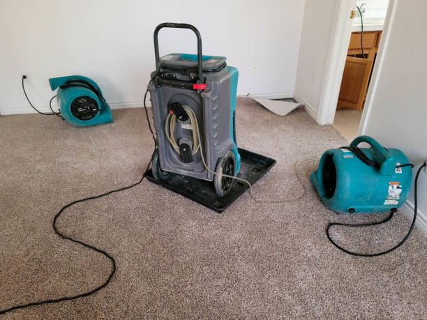 Best Ceiling water damage repair  in Northlake, SC