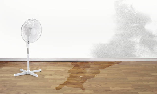 Northlake, SC Water damage restoration Company