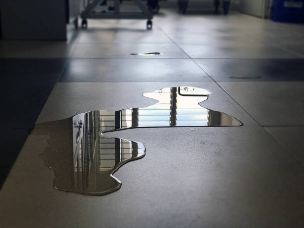 Professional Water damage restoration in Northlake, SC