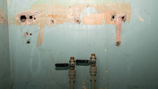 Best Basement water damage restoration  in Northlake, SC