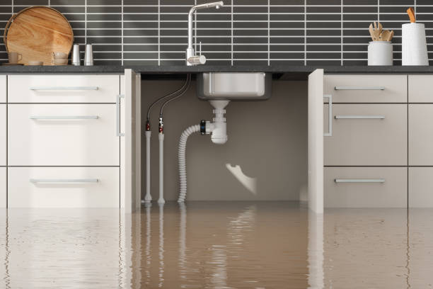 Best Mold removal after water damage  in Northlake, SC