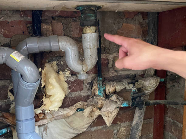 Best Water damage restoration process  in Northlake, SC