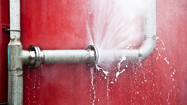 Best Commercial water damage restoration  in Northlake, SC